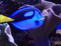 Dori &ndash; &copy; Sandra Mahr (Eberhardt TRAVEL)