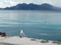 Formentor &ndash; &copy; Kathrin Mickan (Eberhardt TRAVEL)
