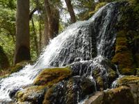 Quellwasser &ndash; &copy; Enrico Lindner-Ehrenreich (Eberhardt TRAVEL)