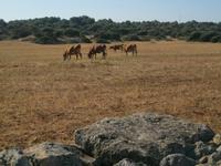IMG_3884 &ndash; &copy; Kerstin Veit (Eberhardt TRAVEL)
