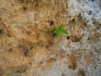 IMG_3905 &ndash; &copy; Kerstin Veit (Eberhardt TRAVEL)