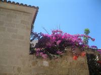 IMG_3931 &ndash; &copy; Kerstin Veit (Eberhardt TRAVEL)