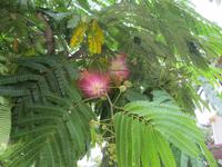 IMG_4071 &ndash; &copy; Kerstin Veit (Eberhardt TRAVEL)