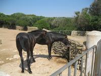 IMG_4114 &ndash; &copy; Kerstin Veit (Eberhardt TRAVEL)