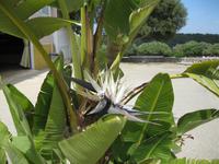 IMG_4121 &ndash; &copy; Kerstin Veit (Eberhardt TRAVEL)