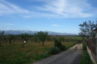 Weinprobe Taujana