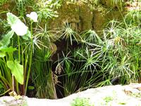 Arabische Gärten &ndash; &copy; Christina Schwarz (Eberhardt TRAVEL)