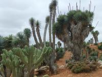 Im botanischen Garten 
