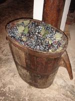 Wein in La Granja &ndash; &copy; Stefan Jahnke (Eberhardt TRAVEL)