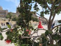 Palma &ndash; &copy; Heike Meinhold (Eberhardt TRAVEL)