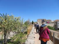 Stadtmauer Alcudia &ndash; &copy; Heike Meinhold (Eberhardt TRAVEL)