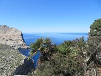 Formentor &ndash; &copy; Heike Meinhold (Eberhardt TRAVEL)