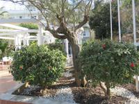 vorm Hotel &ndash; &copy; Heike Meinhold (Eberhardt TRAVEL)