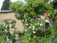 IMG_7479 &ndash; &copy; Kerstin Veit (Eberhardt TRAVEL)
