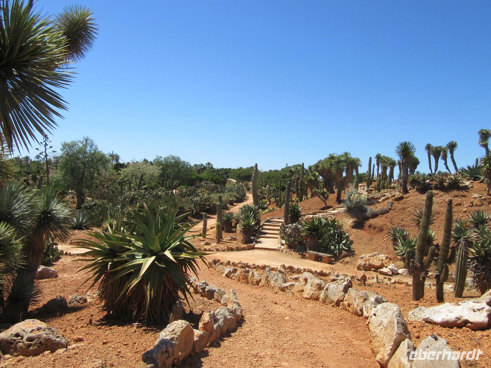 Botanicactus (36) &ndash; &copy; Francisco Javier Burgos Gutierrez (Eberhardt TRAVEL)