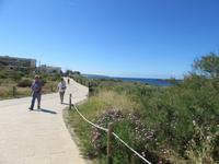 Platja de Mallorca (5) &ndash; &copy; Francisco Javier Burgos Gutierrez (Eberhardt TRAVEL)