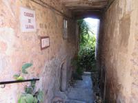 Valldemossa (12) &ndash; &copy; Francisco Javier Burgos Gutierrez (Eberhardt TRAVEL)