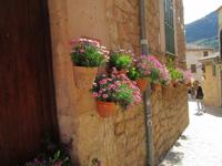 Valldemossa (14) &ndash; &copy; Francisco Javier Burgos Gutierrez (Eberhardt TRAVEL)