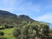 San Marroig (6) &ndash; &copy; Francisco Javier Burgos Gutierrez (Eberhardt TRAVEL)