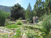 Soller (16) &ndash; &copy; Francisco Javier Burgos Gutierrez (Eberhardt TRAVEL)
