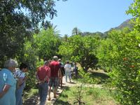 Soller (19) &ndash; &copy; Francisco Javier Burgos Gutierrez (Eberhardt TRAVEL)