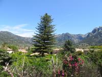 Soller (29) &ndash; &copy; Francisco Javier Burgos Gutierrez (Eberhardt TRAVEL)