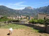 Soller (31) &ndash; &copy; Francisco Javier Burgos Gutierrez (Eberhardt TRAVEL)