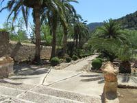 Alfabia (3) &ndash; &copy; Francisco Javier Burgos Gutierrez (Eberhardt TRAVEL)