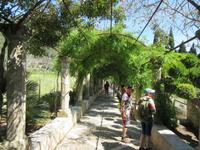 Alfabia (6) &ndash; &copy; Francisco Javier Burgos Gutierrez (Eberhardt TRAVEL)