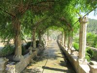Alfabia (9) &ndash; &copy; Francisco Javier Burgos Gutierrez (Eberhardt TRAVEL)