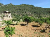 Alfabia (12) &ndash; &copy; Francisco Javier Burgos Gutierrez (Eberhardt TRAVEL)