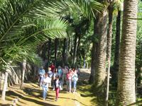 Alfabia (23) &ndash; &copy; Francisco Javier Burgos Gutierrez (Eberhardt TRAVEL)