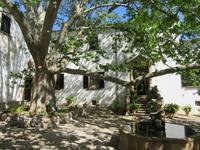 Alfabia (29) &ndash; &copy; Francisco Javier Burgos Gutierrez (Eberhardt TRAVEL)