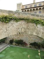 Palma de Mallorca (3) &ndash; &copy; Francisco Javier Burgos Gutierrez (Eberhardt TRAVEL)