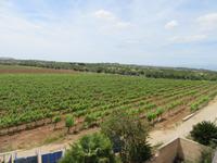 Bodega Galmés i Ribot (2) &ndash; &copy; Francisco Javier Burgos Gutierrez (Eberhardt TRAVEL)