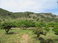 Raixa (23) &ndash; &copy; Francisco Javier Burgos Gutierrez (Eberhardt TRAVEL)