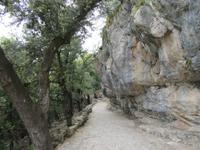 Lluc (16) &ndash; &copy; Francisco Javier Burgos Gutierrez (Eberhardt TRAVEL)