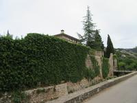 Lluc (17) &ndash; &copy; Francisco Javier Burgos Gutierrez (Eberhardt TRAVEL)