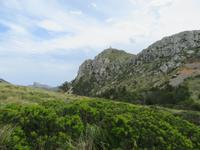 Port Pollenca (3) &ndash; &copy; Francisco Javier Burgos Gutierrez (Eberhardt TRAVEL)
