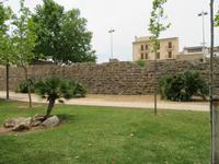 Alcudia (1) &ndash; &copy; Francisco Javier Burgos Gutierrez (Eberhardt TRAVEL)