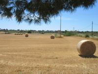 Salines d'Es Trenc (2) &ndash; &copy; Francisco Javier Burgos Gutierrez (Eberhardt TRAVEL)