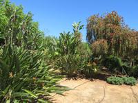 Botanicactus (14) &ndash; &copy; Francisco Javier Burgos Gutierrez (Eberhardt TRAVEL)