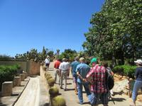 Botanicactus (27) &ndash; &copy; Francisco Javier Burgos Gutierrez (Eberhardt TRAVEL)