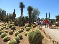 Botanicactus (50) &ndash; &copy; Francisco Javier Burgos Gutierrez (Eberhardt TRAVEL)