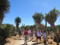 Botanicactus (66) &ndash; &copy; Francisco Javier Burgos Gutierrez (Eberhardt TRAVEL)
