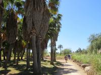 Botanicactus (85) &ndash; &copy; Francisco Javier Burgos Gutierrez (Eberhardt TRAVEL)