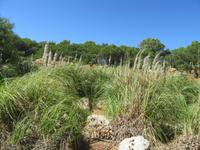 Botanicactus (86) &ndash; &copy; Francisco Javier Burgos Gutierrez (Eberhardt TRAVEL)
