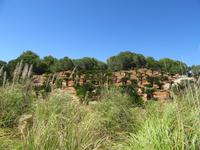 Botanicactus (87) &ndash; &copy; Francisco Javier Burgos Gutierrez (Eberhardt TRAVEL)