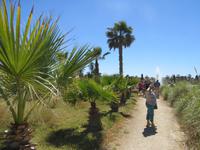 Botanicactus (88) &ndash; &copy; Francisco Javier Burgos Gutierrez (Eberhardt TRAVEL)