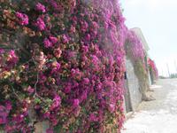 Ibiza (3) &ndash; &copy; Francisco Javier Burgos Gutierrez (Eberhardt TRAVEL)